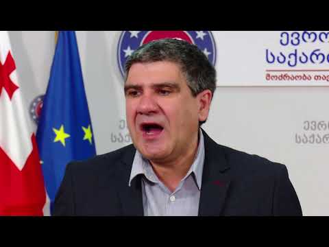 ვაკვირდებით გაკოტრებული პოლიტიკური გუნდის ისტერიას - თარხნიშვილი „ოცნებაზე“